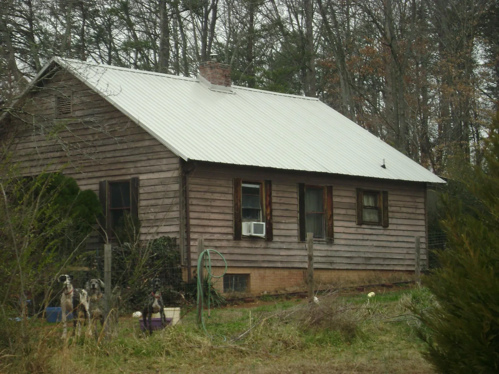 White metal roof on an old wood sided farmhouse, from a Asphalt Shingle Roof Repair job in Kailua